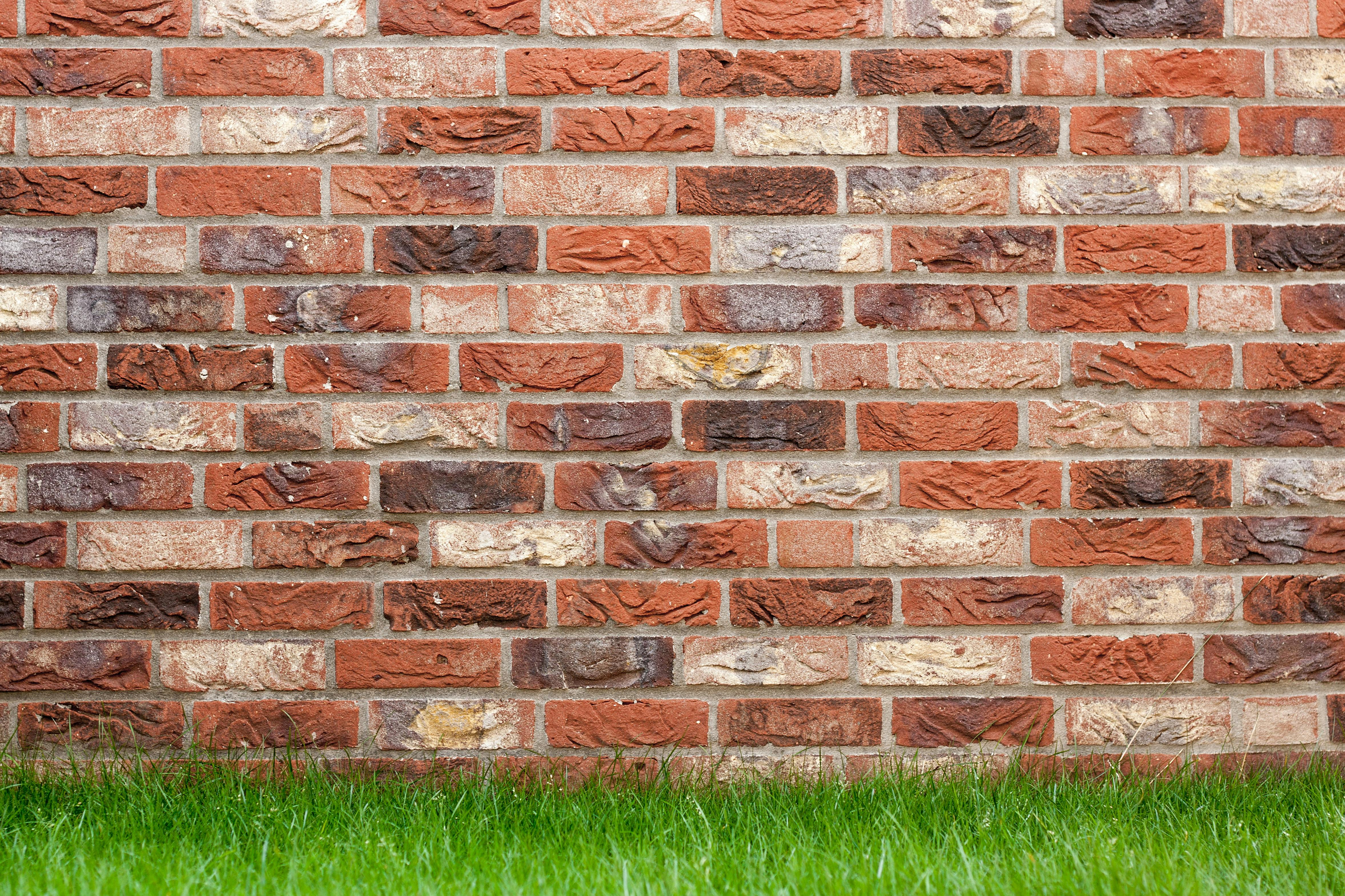 bg_image